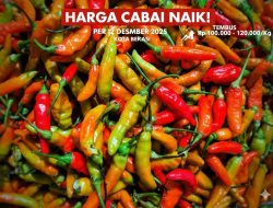 Harga Cabai Melonjak di Bekasi, Disperindag Intensif Pantau Kestabilan Pangan