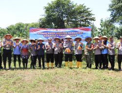 Perkuat Ketahanan Pangan, Kapolres Metro Bekasi Kota Pimpin Panen Raya di Jatiasih