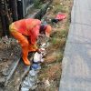 Sampah Liar Jadi Sorotan, Tim Oranye Bekasi Sisir Jalan Perbatasan